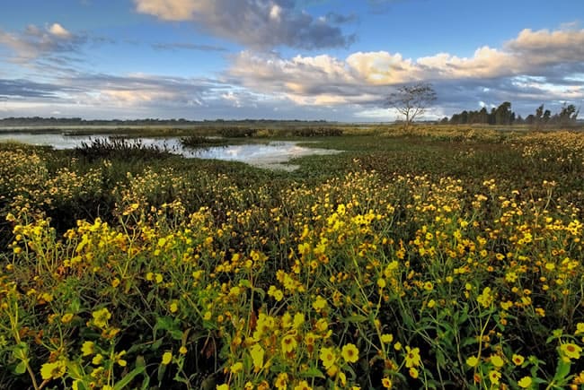 Environmental Program Grows In Osceola - Gavin P. Smith